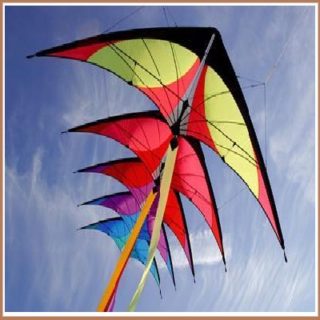International Kite Flying Festival