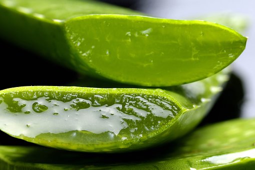 Aloe Vera- Home Remedies For Open Pores On Face