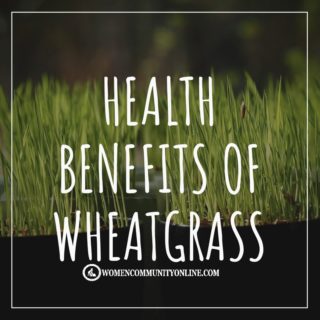7 Amazing Wheatgrass Benefits for Health | Women Community Online