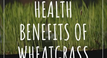 7 Amazing Wheatgrass Benefits For Health