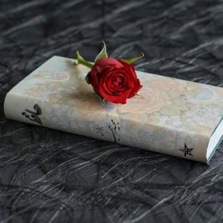 21 March World Poetry Day | Women Community Online