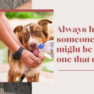 Why Helping Others Is Important