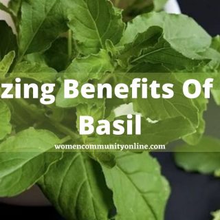 Amazing Benefits Of Holy Basil