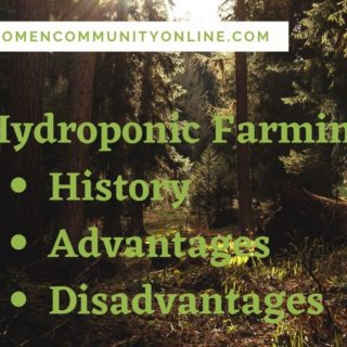 What Is Hydroponic Farming?