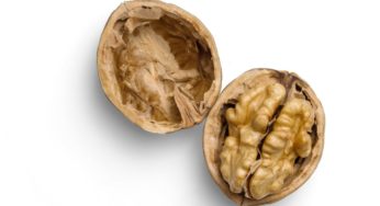 Health Benefits From Walnuts