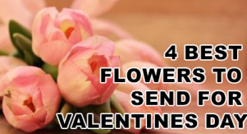 4 Best Flowers To Send For Valentines Day