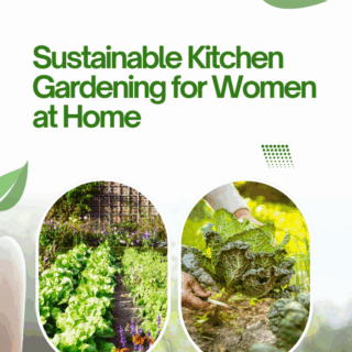 Sustainable Kitchen Gardening for Women at Home