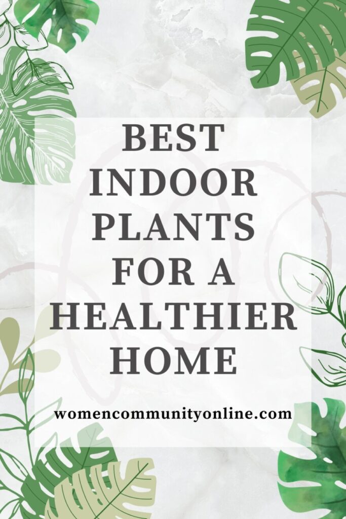 Beautiful indoor plants arranged in a bright living room creating a fresh and healthy home environment
